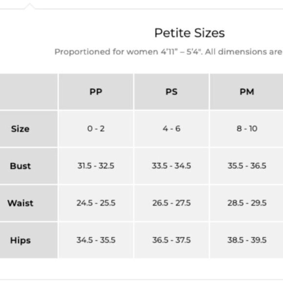 Vibrant Talbots Pure Merano Wool Light Weight Crew Neck Pull Over Sweater - Picture 9 of 11